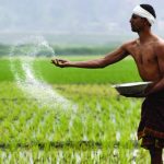 INDIA’S FARM SOPS UNDER LENS AT WTO