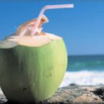 coconut