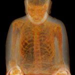 Mummified monk revealed inside Buddha statue