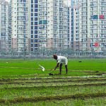 land bill