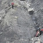 Co-pilot who crashed jet was 'very happy' with Germanwings job Image