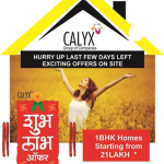 Calyx Group