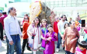 Grand Parade with Elephant