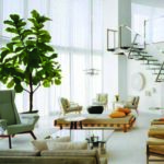 HOUSE PLANTS