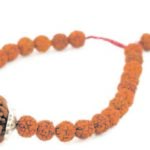 Rudraksha
