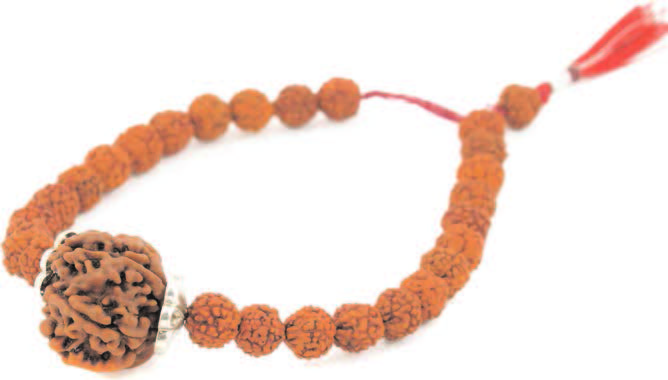 Rudraksha