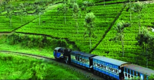 UDHAGAMANDALAM Image2