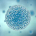 Artificial-Cell-Membrane