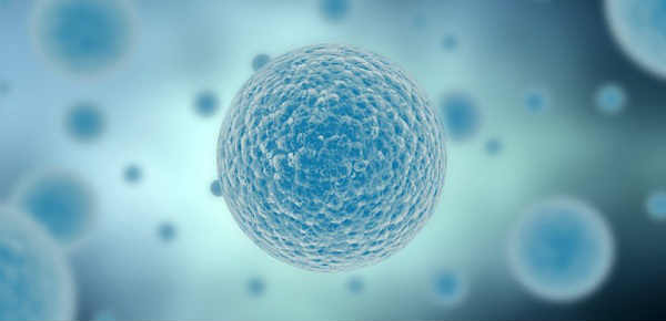 Artificial-Cell-Membrane
