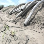 California orders large water cuts