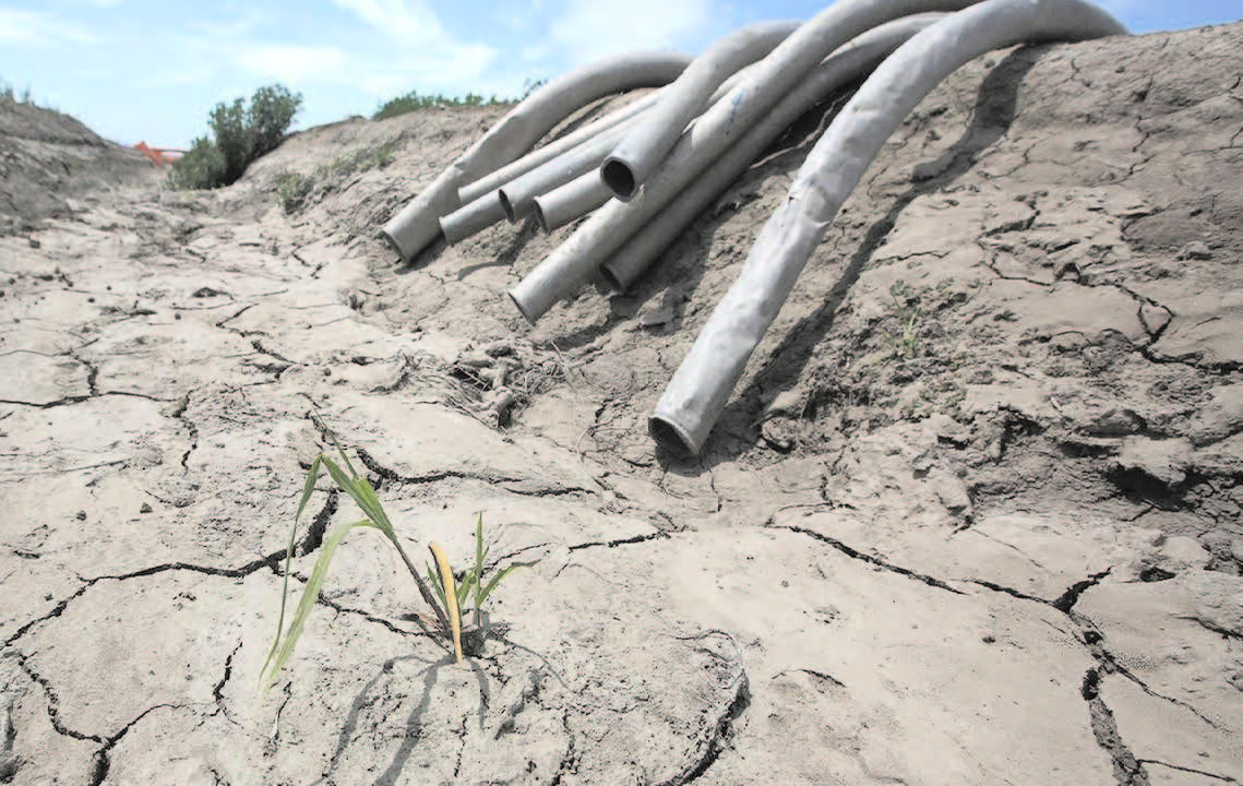 California orders large water cuts