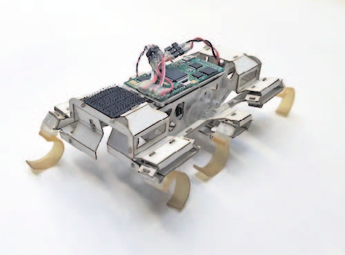 Roach-inspired robot