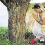 SACRED TREES IMAGE