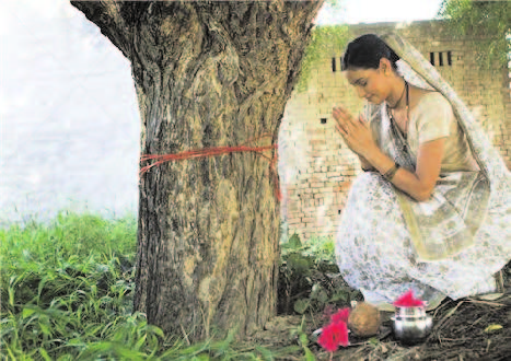 SACRED TREES IMAGE