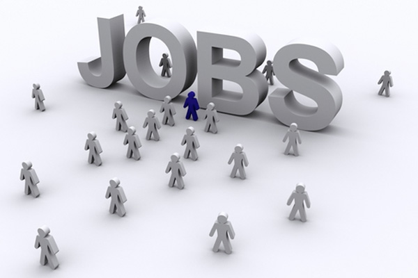 jobs related – employment