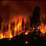 wildfireNOAA_6
