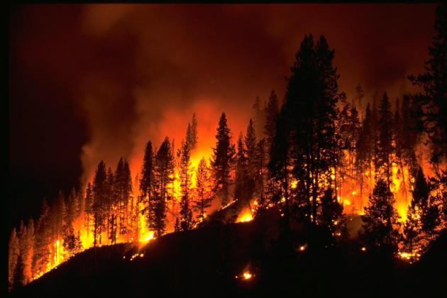 wildfireNOAA_6