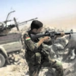 GERMANY SAYS IRAQI KURDISH FORCES REPORT CHEMICAL ATTACK