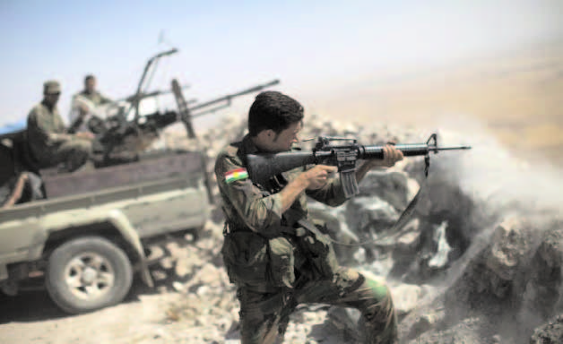 GERMANY SAYS IRAQI KURDISH FORCES REPORT CHEMICAL ATTACK