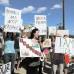 US opens probe into Cecil
