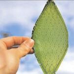 ARTIFICIAL ‘PLANTS’