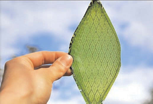 ARTIFICIAL ‘PLANTS’