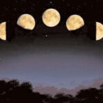 OUR MOON