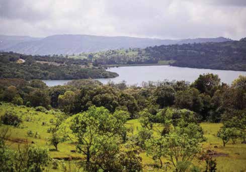 KAAS PLATEAU