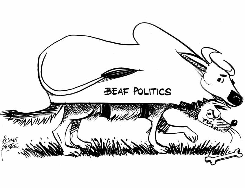 beef-politics