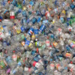 PLASTIC EATING WORMS COULD SAVE THE WORLD