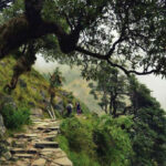 DHARAMSALA2