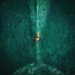 In The Heart Of The Sea