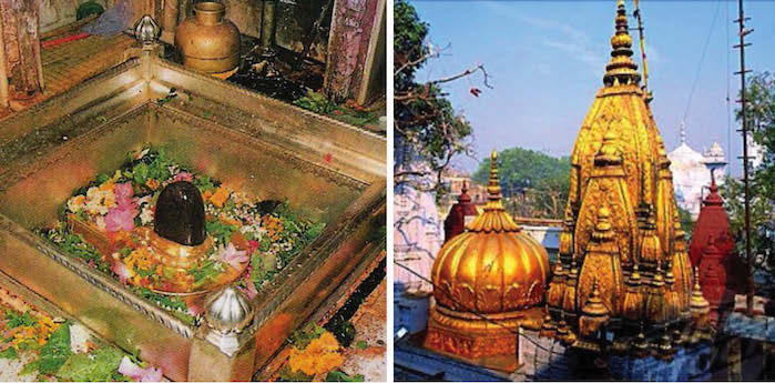 KASHI SHRI