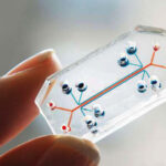 World’s first biologically powered chip