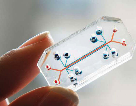 World’s first biologically powered chip