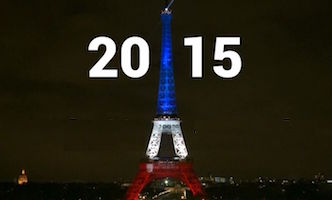 2015 in reveiw