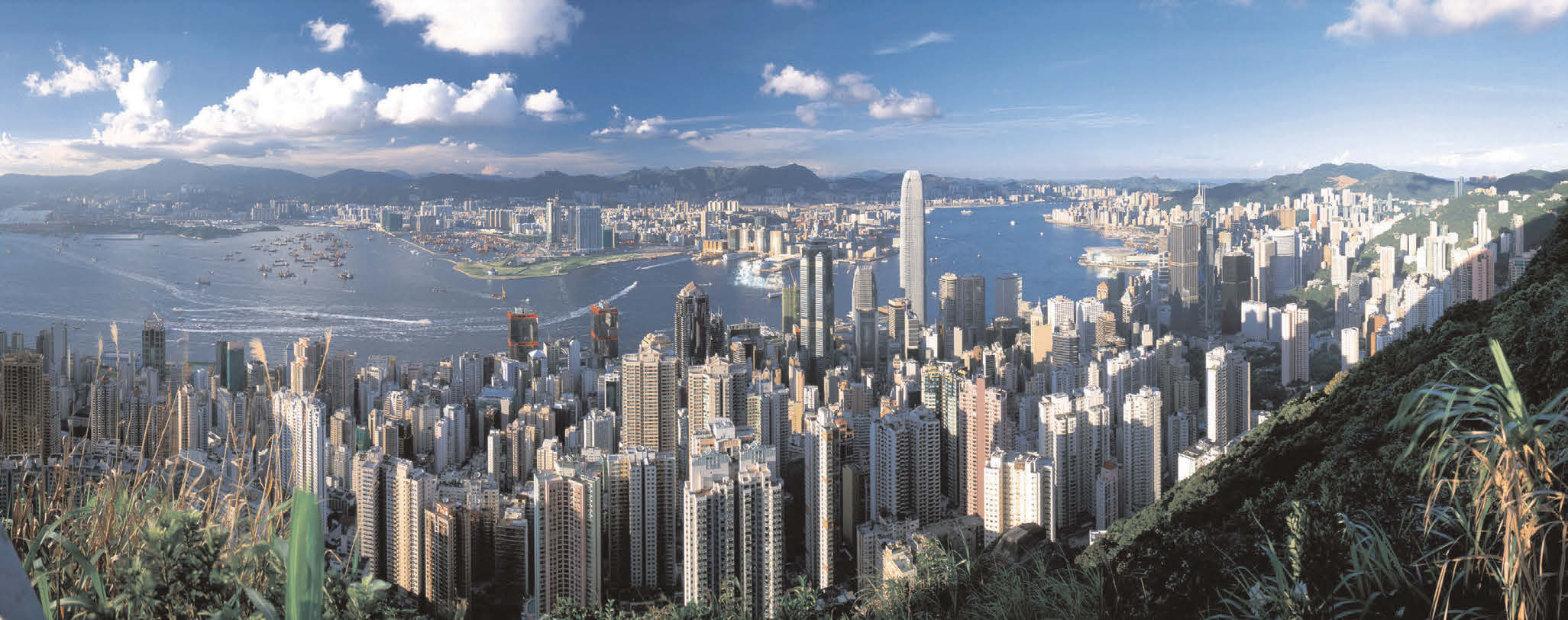 Hong Kong top