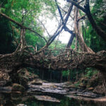 SHILLONG- SCOTLAND OF EAST1