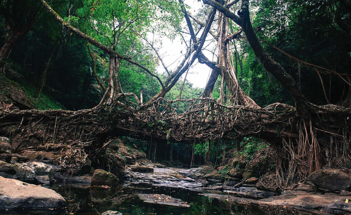 SHILLONG- SCOTLAND OF EAST1