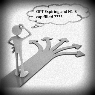 opt stem