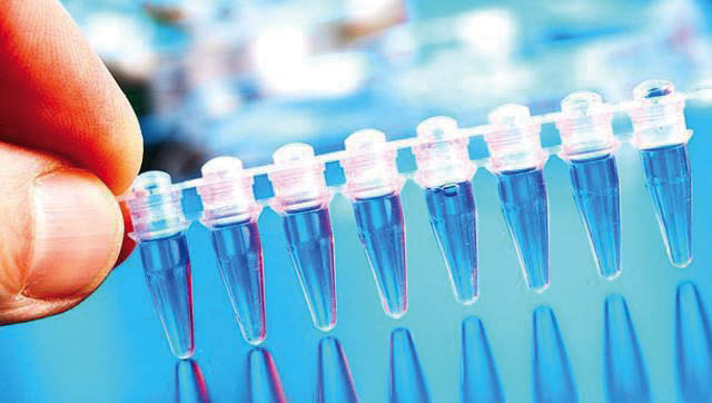 simple blood test may now detect 5 types of cancers