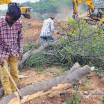Locals cutting trees felled during the land-filling process at a Patiala village. (HT Photo)