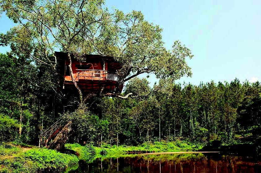 GOA