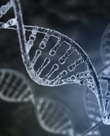 Spiral strand of DNA on the dark background