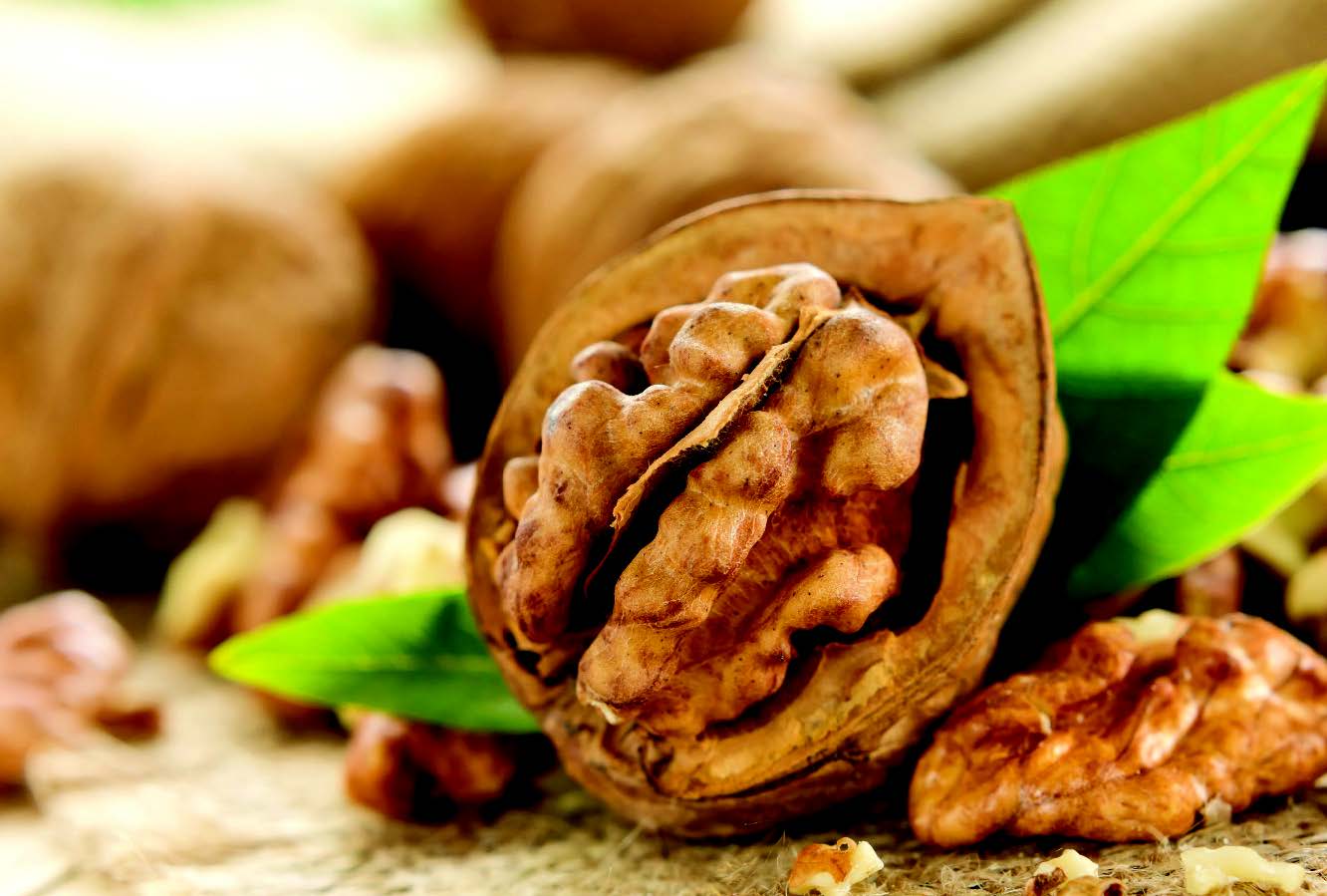 WALNUTS