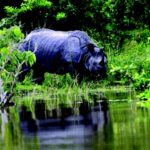 ASSAM