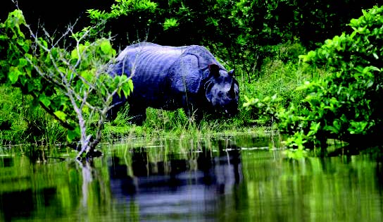 ASSAM