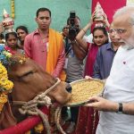 During his days as Gujarat CM, Modi promoted cow-protection groups