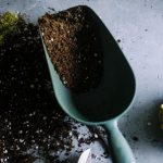 chinese-scientists-successfully-convert-sand-into-soil