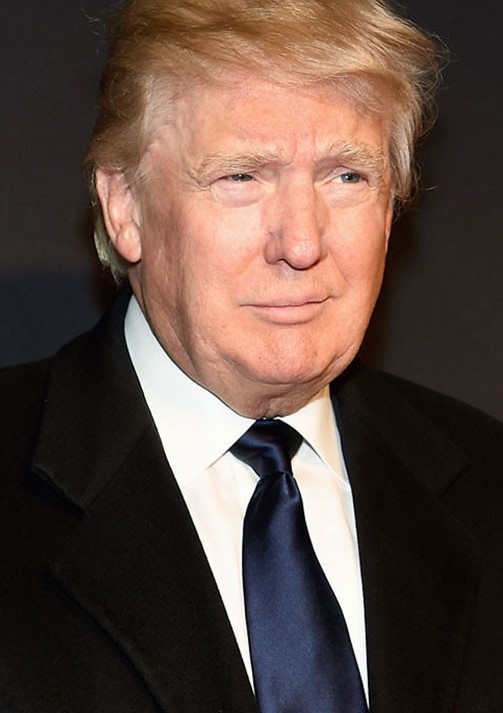As President-Elect Donald Trump attempts to cobble together an efficient cabinet, the media is rife with speculations